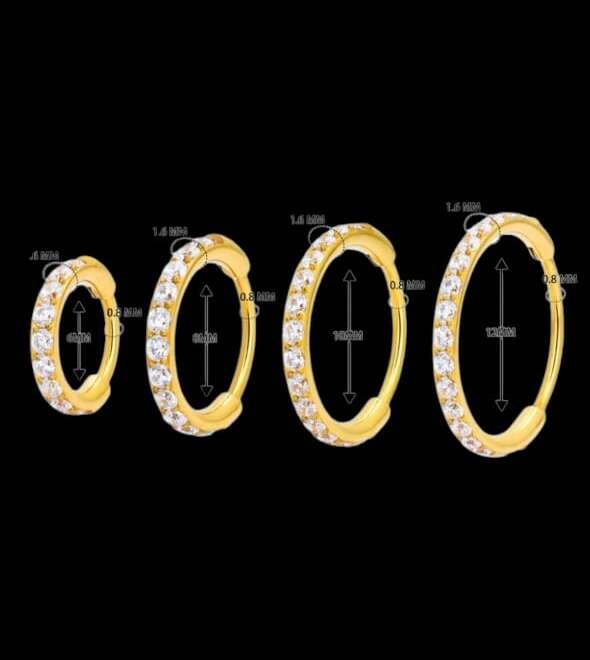 Titanium Clicker Hoop Earrings – Gold & Silver