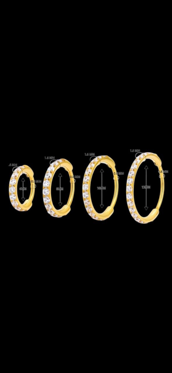 Titanium Clicker Hoop Earrings – Gold & Silver